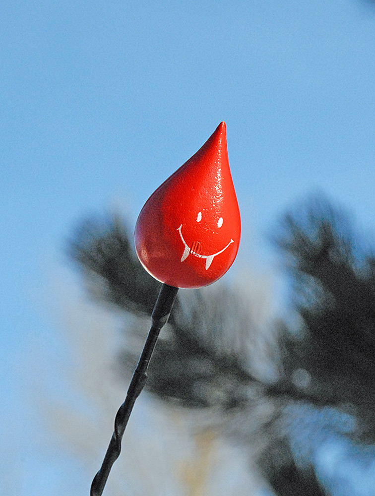 Photography by cshutt for DesignCrowd (Community Contests) | Design #9024416