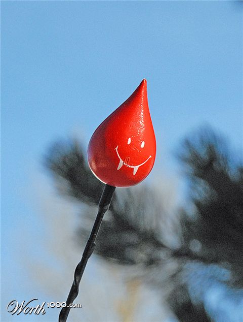 Photography by cshutt