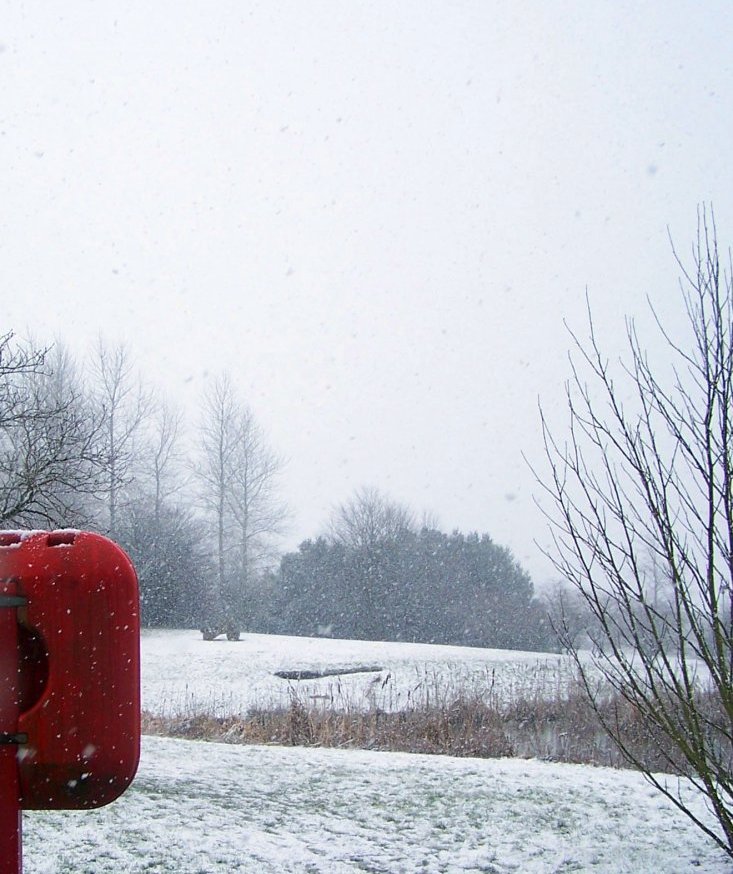 Photographie par TotalDomination pour DesignCrowd (Community Contests) | Design #9024367