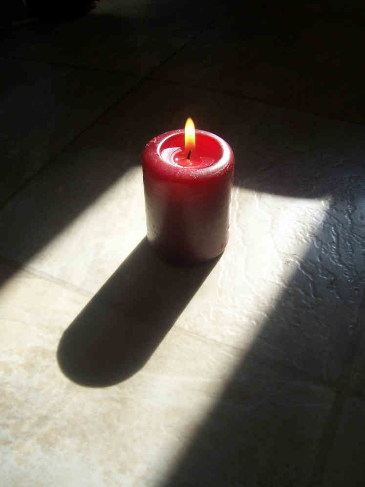 Photography by slimjewel1 for DesignCrowd (Community Contests) | Design #9023635