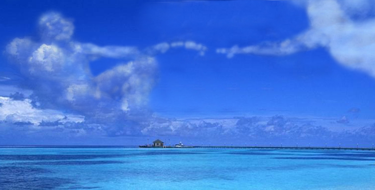 Photoshop Design by RachelB for DesignCrowd (Community Contests) | Design #9025402