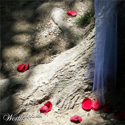 Photography by photoandersen