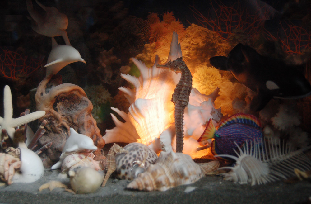 Photography by alwaysbeencreative for DesignCrowd (Community Contests) | Design #9019308