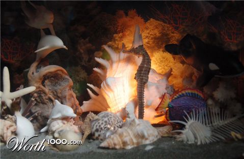 Photography by alwaysbeencreative