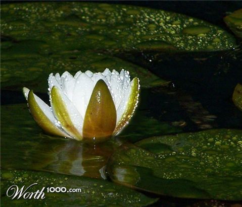 Photography by khudson