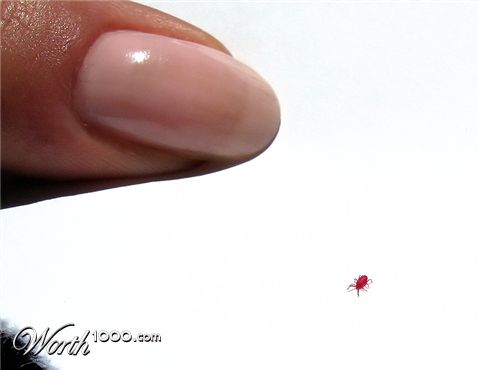 Photography by Firenzesca