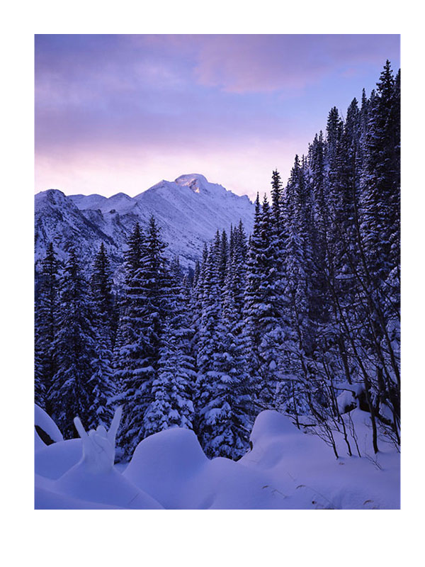 Design Photoshop par WiseMonkey pour DesignCrowd (Community Contests) | Design #9025430