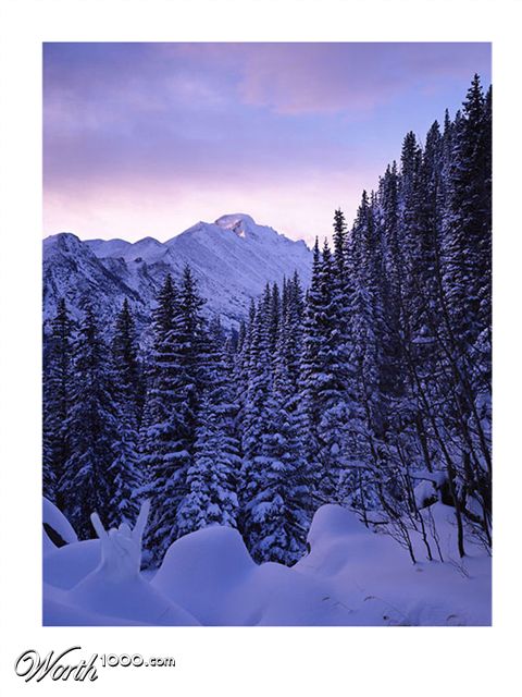 Photoshop Design by WiseMonkey