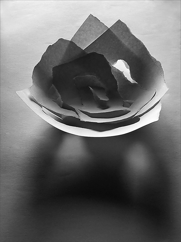 Fotografie von IsleofJura für DesignCrowd (Community Contests) | Design #9025280