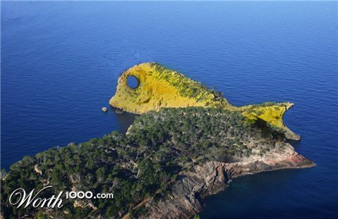 Photoshop Design by Saddy10