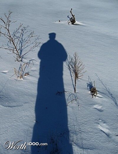 Photography by spincast1123