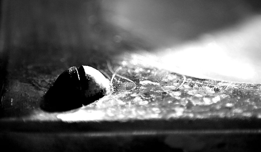 Photographie par TotalDomination pour DesignCrowd (Community Contests) | Design #9023670