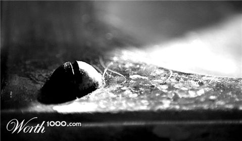 Photography by TotalDomination