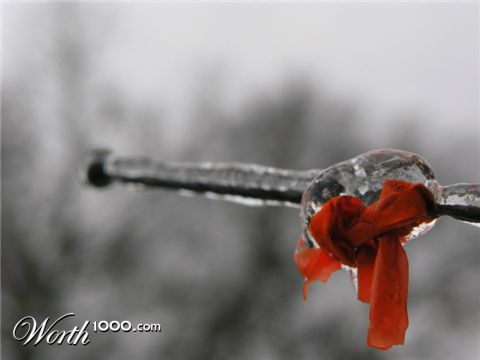 Photography by polardude1983
