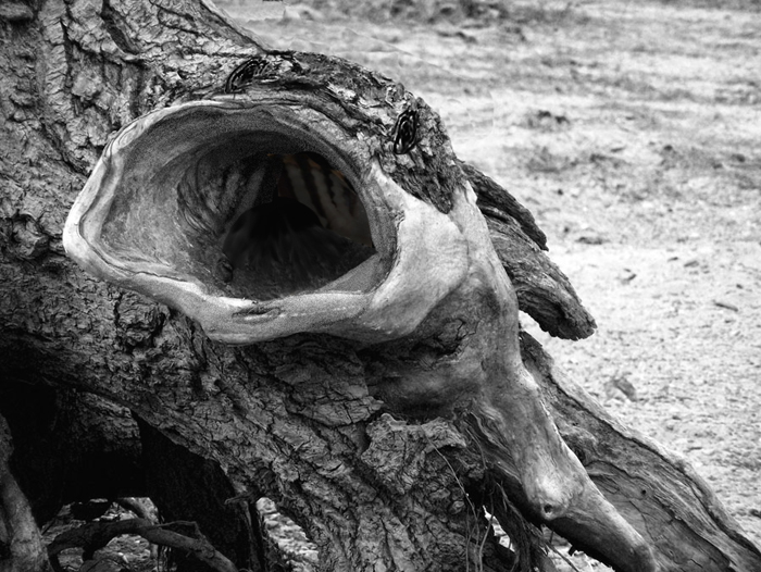 Design Photoshop par pixel8r pour DesignCrowd (Community Contests) | Design #9025638