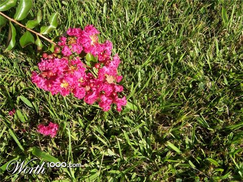 Photography by yavannilde