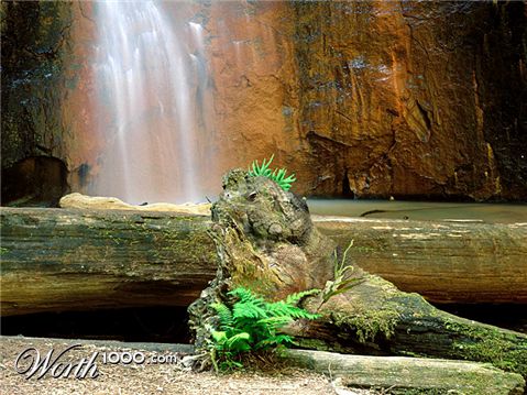 Photoshop Design by Lacenflanl