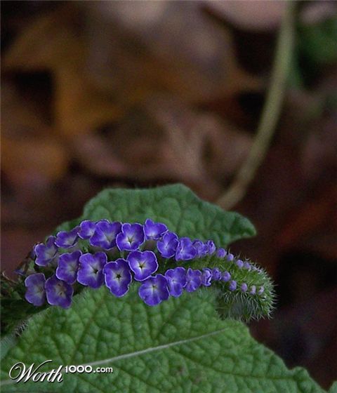 Photography by pixel8r