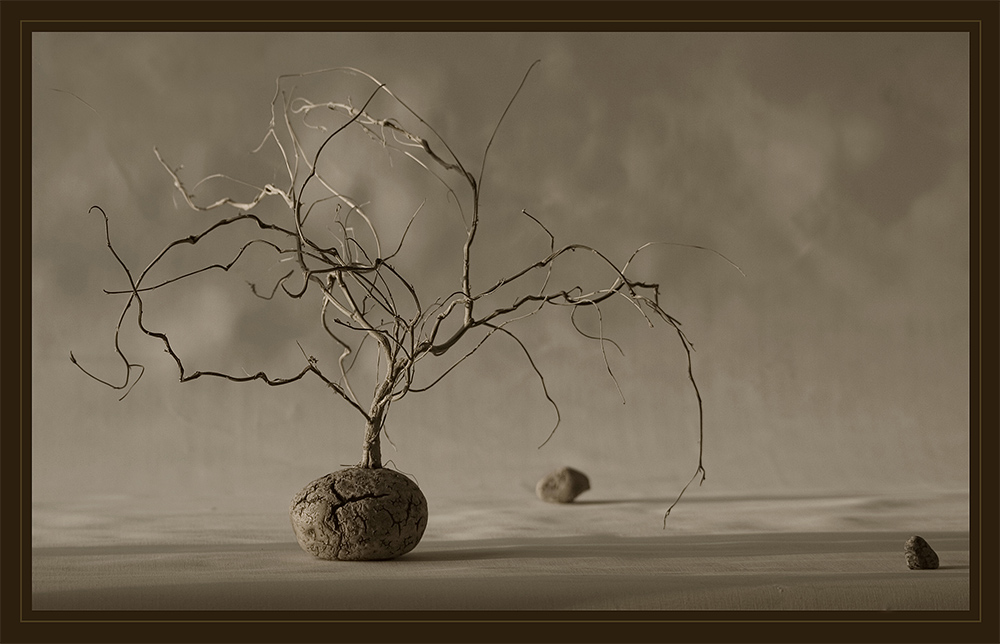 Fotografie von bozosafari für DesignCrowd (Community Contests) | Design #9019309