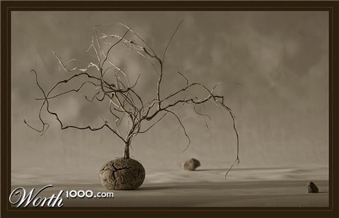 Photography by bozosafari