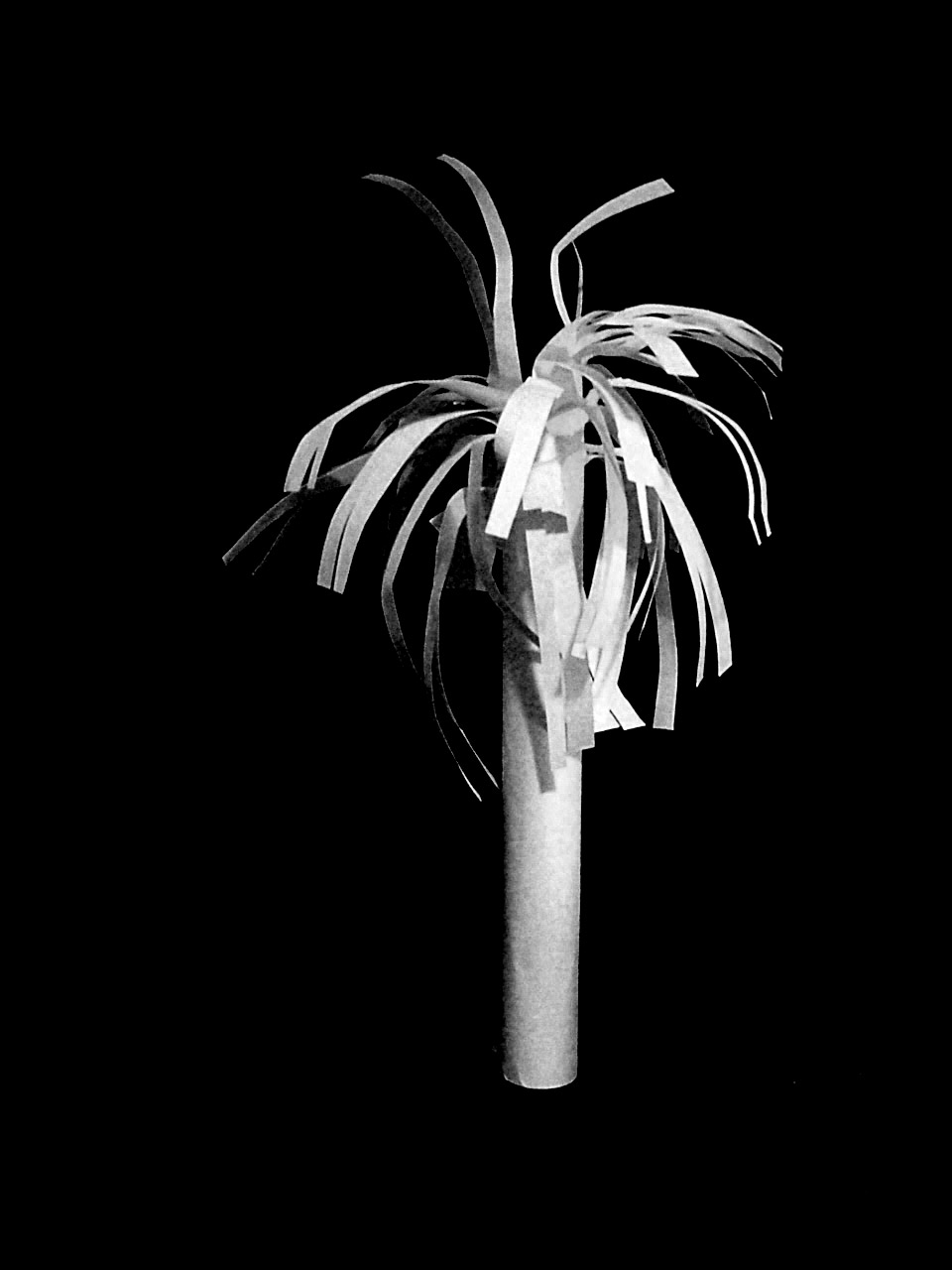 Photographie par Lacenflanl pour DesignCrowd (Community Contests) | Design #9025308