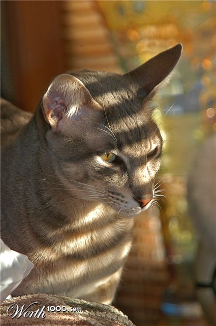 Photography by ewall53