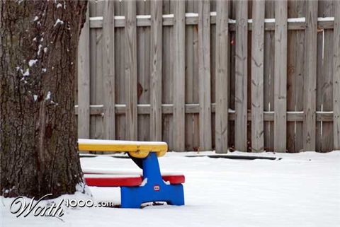 Photography by robinsphotos