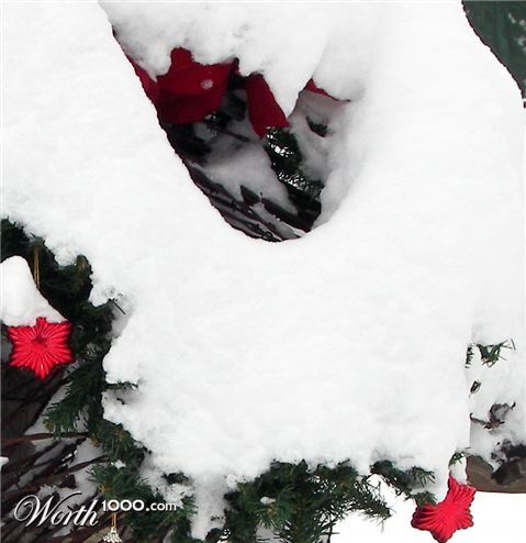 Photography by Marinemom