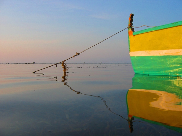 Photography by gaddydots for DesignCrowd (Community Contests) | Design #9024582