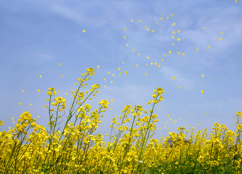 Diseño de Photoshop por jofletcher para DesignCrowd (Community Contests) | Diseño #9025581