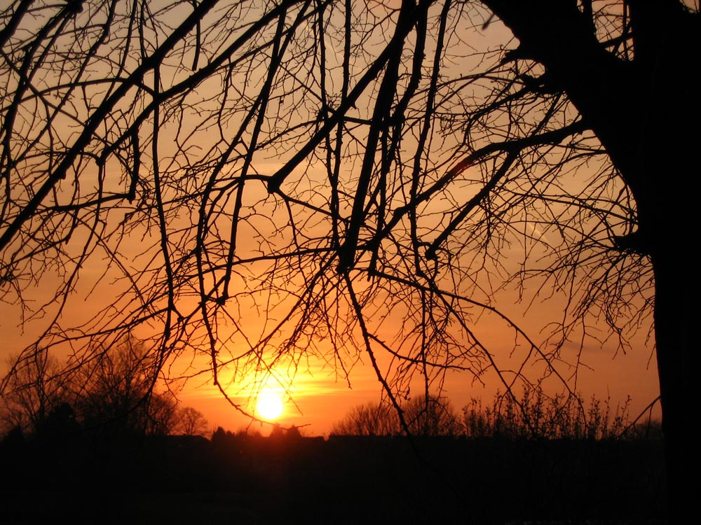 Fotografie von benbacardi für DesignCrowd (Community Contests) | Design #9023691