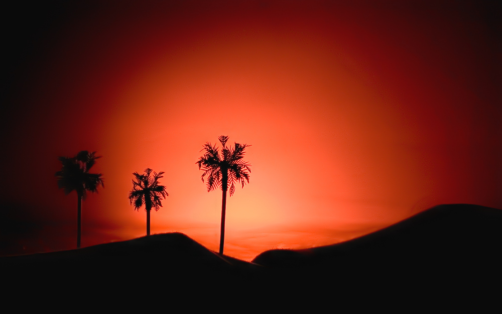 Fotografie von egonlinden für DesignCrowd (Community Contests) | Design #9019312