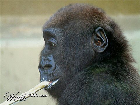 Photoshop Design by pixel8r