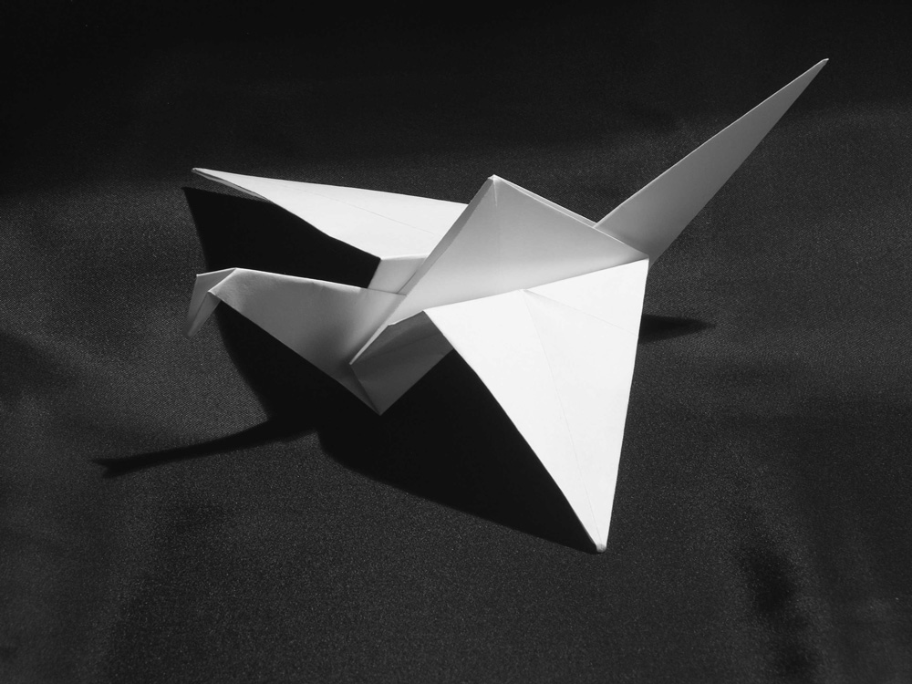 Fotografía por PsiGraph para DesignCrowd (Community Contests) | Diseño #9025357