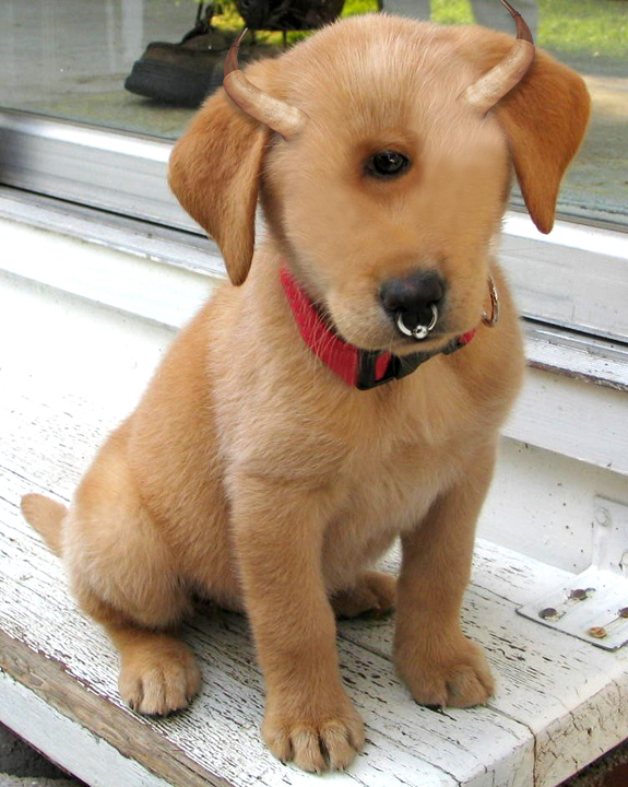 Photoshop-Design von ThreeProngs für DesignCrowd (Community Contests) | Design #9023906