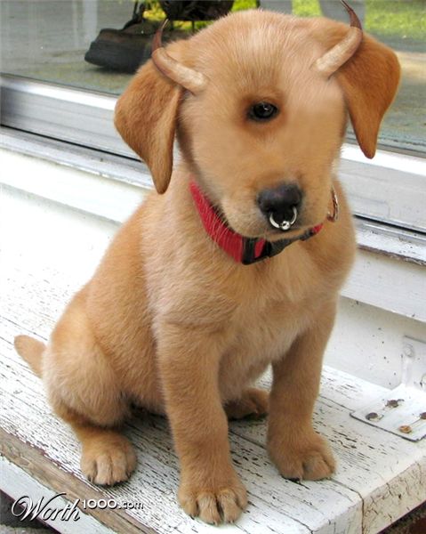 Photoshop Design by ThreeProngs