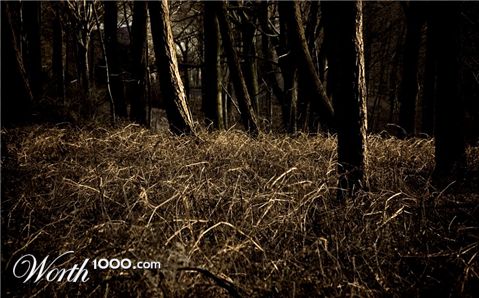 Photography by mightyflup