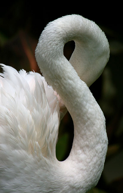 Fotografía por smarti77 para DesignCrowd (Community Contests) | Diseño #9023890