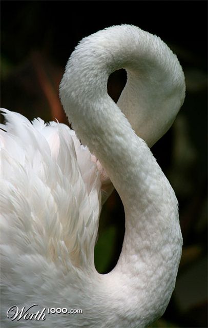 Photography by smarti77