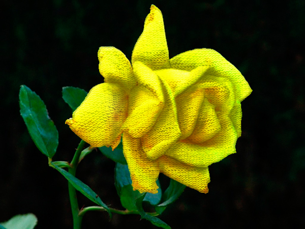 Design Photoshop par TransmissionDump pour DesignCrowd (Community Contests) | Design #9020546