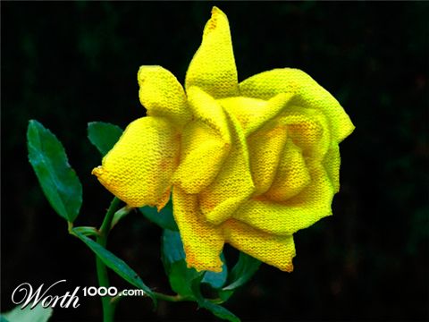 Photoshop Design by TransmissionDump