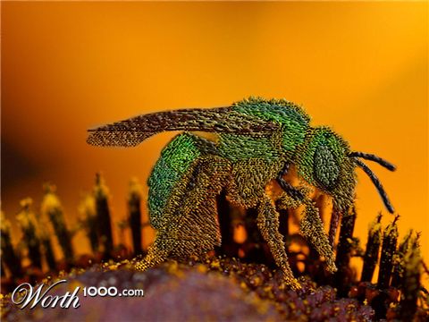 Photoshop Design by mIcrObrAIn