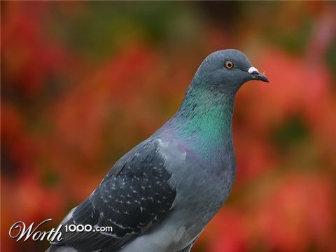 Photography by KarenC