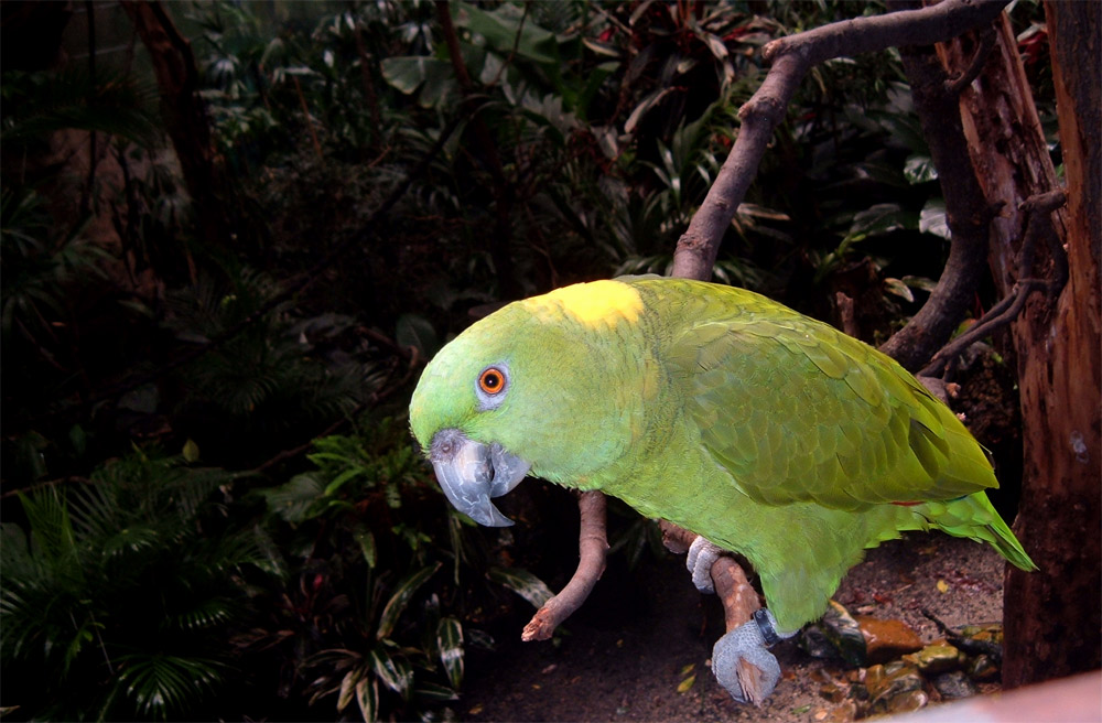 Photography by fabfella10 for DesignCrowd (Community Contests) | Design #9023897