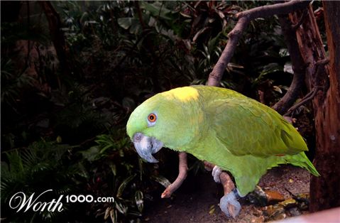 Photography by fabfella10