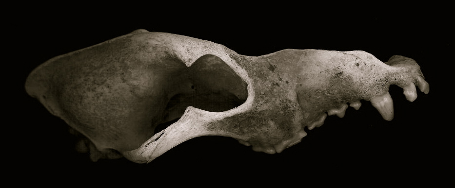 Photography by sbilchuk for DesignCrowd (Community Contests) | Design #9023778