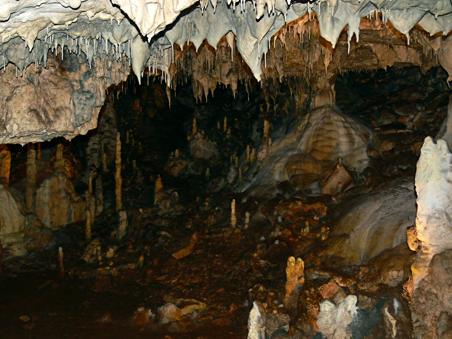 Fotografía por oldmur para DesignCrowd (Community Contests) | Diseño #9023802