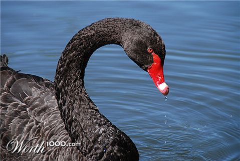 Photography by gymp93