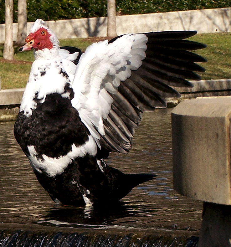 Photography by khudson for DesignCrowd (Community Contests) | Design #9023962