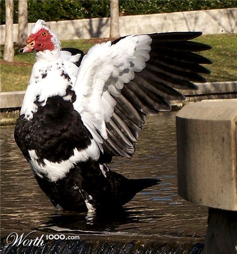 Photography by khudson